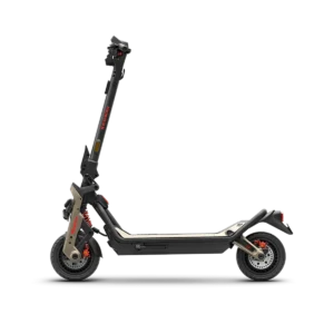 Dualtron X